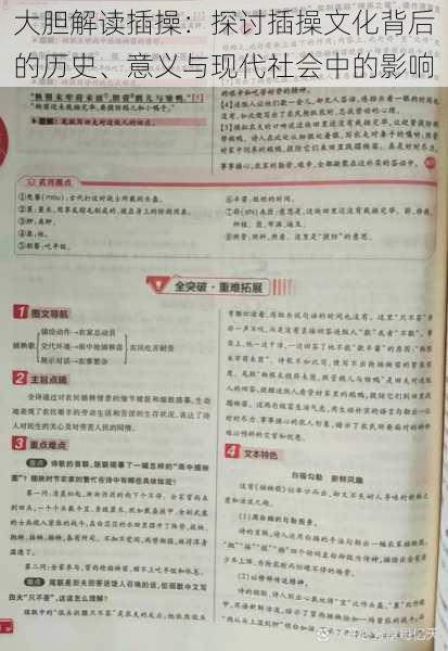 大胆解读插操:探讨插操文化背后的历史、意义与现代社会中的影响