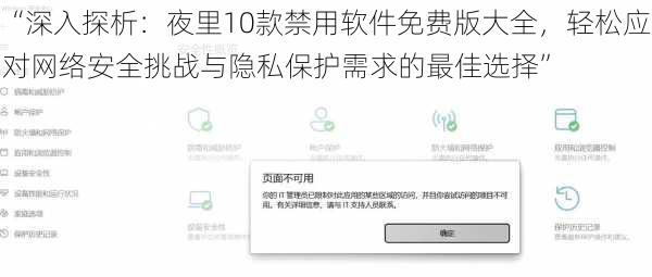 “深入探析：夜里10款禁用软件免费版大全，轻松应对网络安全挑战与隐私保护需求的最佳选择”