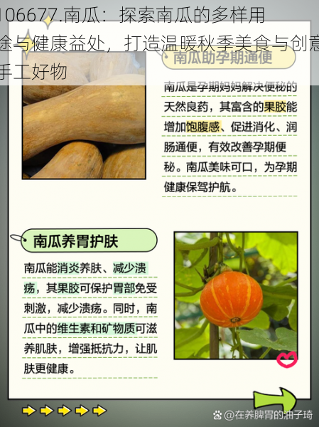 106677.南瓜:探索南瓜的多样用途与健康益处,打造温暖秋季美食与创意手工好物