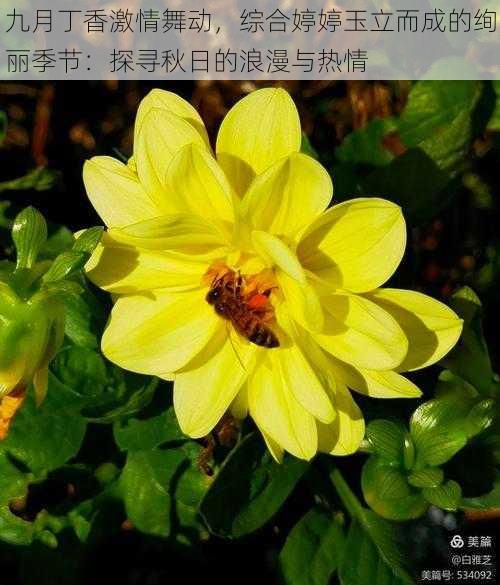 九月丁香激情舞动,综合婷婷玉立而成的绚丽季节:探寻秋日的浪漫与热情