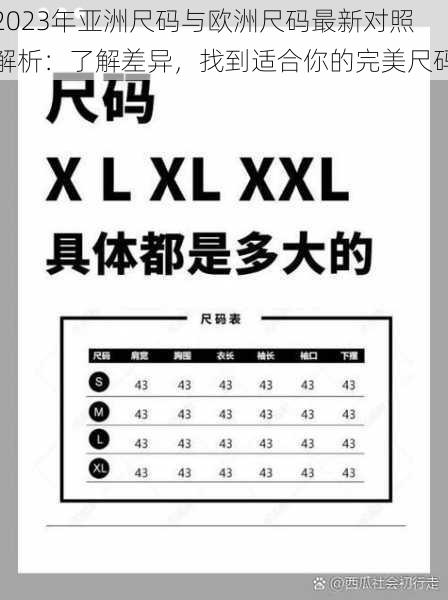 2023年亚洲尺码与欧洲尺码最新对照解析：了解差异，找到适合你的完美尺码