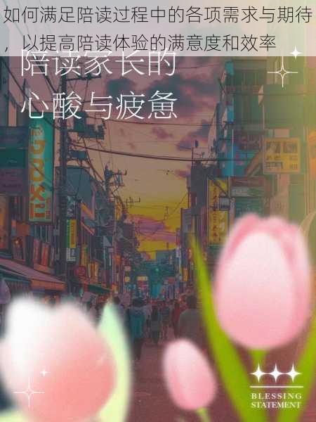 如何满足陪读过程中的各项需求与期待，以提高陪读体验的满意度和效率