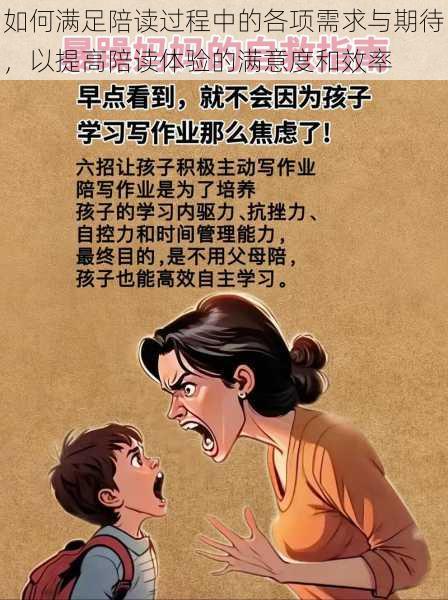 如何满足陪读过程中的各项需求与期待，以提高陪读体验的满意度和效率